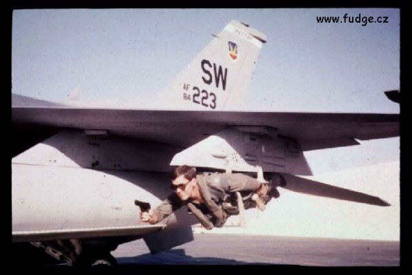 grippen[1].jpg